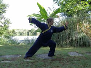 The difference between Tai Chi and Qi Gong